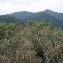 용미1리 이미지