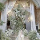 마론호텔 | 💍 W12. 대구 가성비 웨딩 본식 스냅 및 DVD &#39;오호스마론&#39; 계약 후기 (+짝꿍코드 할인)