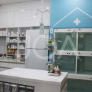 동탄중앙동물병원 이미지