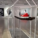 세계자연유산센터 이미지