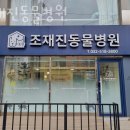 조재진 동물병원 이미지