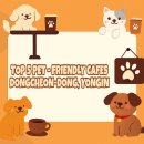 헬로우시니어 | 용인 동천동 강아지와 함께 가기 좋은 애견동반 카페 TOP 5 추천