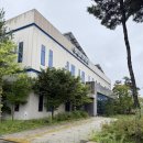 화성동탄경찰서 | 해외여행 전 국제운전면허증 신청 방법 (일본 영문면허증 안됨) 화성동탄경찰서 국제운전면허증 신청 후기