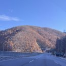 디지털드로잉-나만의 굿즈 제작하기 | 스마트폰으로 디지털드로잉 끝! 내 그림으로 파우치 머그컵 굿즈 제작 강콘스쿨 도계 태백 3회차 후기