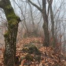 만지산목장 이미지