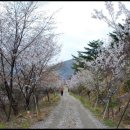 인삼전시관 이미지