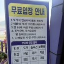 미니스톱 신안천사점 | 신안 퍼플섬 가는법 주차 입장료 물때 소요시간 불만족 후기