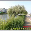 대천천2 이미지