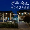 단계돈집 | [경주엔한옥펜션] 경주 풀빌라 한옥 펜션 솔직 후기