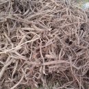 원농장1 이미지