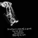 코리안파인