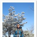 대박 감자탕 이미지