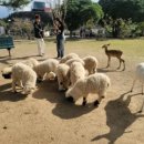 성미목장 이미지