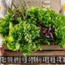 수경목장 이미지