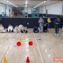 동인태권도 이미지