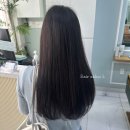 살롱엘(salon L)