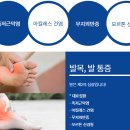 가정신현탑본정형외과의원 네이버블로그