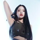 보은양과 이미지