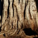 광명동굴 내 이미지