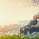 영광안과의원 이미지