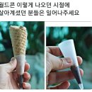 월드싸인