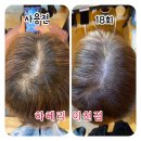 하헤리 이천점 네이버블로그