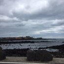 마진의 제주 일기: 세화 해변, 월정리 해변, 슬슬슬로우,만장굴,동문시장