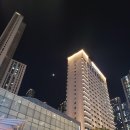 호텔소노(HOTEL SONO) | [소노캄 고양 5성급 호텔(Sono Calm Hotel)] 숙박+해피아워 후기