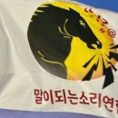 진화 묘 이미지