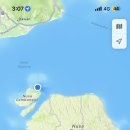 엔젤여행사 이미지