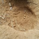 새온농원 이미지