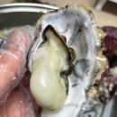 석씨네 | 부부 건강 보양식 / (12월) 추워지는 겨울_제철 음식은 *석화/가리비(찐 내돈내산-훈씨네) 어떤가요...?