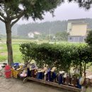 지니펜션2 이미지