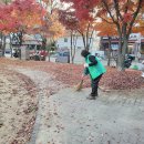유성온천2동 새마을협의회 11월 21일 장고개공원 낙엽청소 이미지