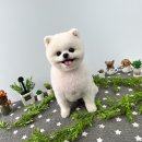 도브리댕 이미지