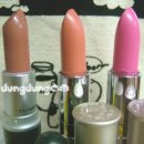 바닐라 퍼피 이미지