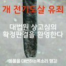 #개전기도살 #유죄확정! 이미지