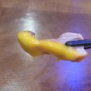 수영역 3번출구 광안신협 앞 | 광안리맛집 꾼닭꾼덕 광안점 오리냉채