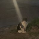 승언농장 이미지