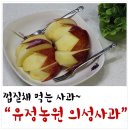 유정농원 이미지