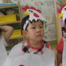꼬꼬야놀자 Daum카페