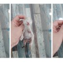 와동로7안길 이미지