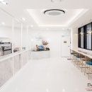 엔젤펫애견샵 이미지