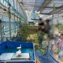 두리초등학교(병설) 이미지