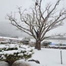 석정온천휴스파 이미지