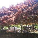 섬지캠핑장 이미지