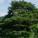 들숨날숨 이미지