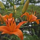 사제보건진료소 이미지