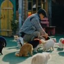 무마취 고양이 미용실 반할고양 네이버블로그