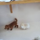 남악유치원 이미지